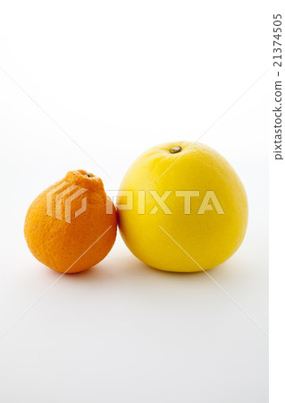 Tosa Fumiya垂直位置中心 Tosa Fumiya垂直位置中心 21374505