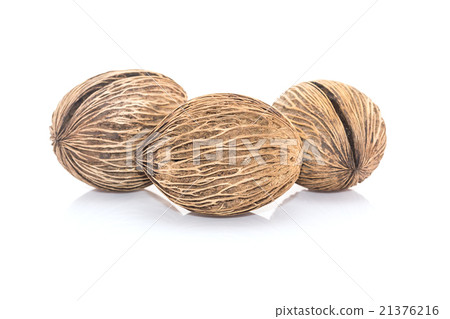 Othalanga - Suicide tree seed Othalanga - Suicide tree seed 21376216