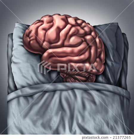 Brain Sleep Brain Sleep 21377265