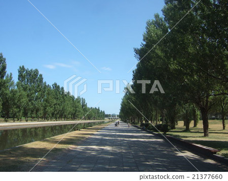 前田森林公園在夏天 前田森林公園在夏天 21377660