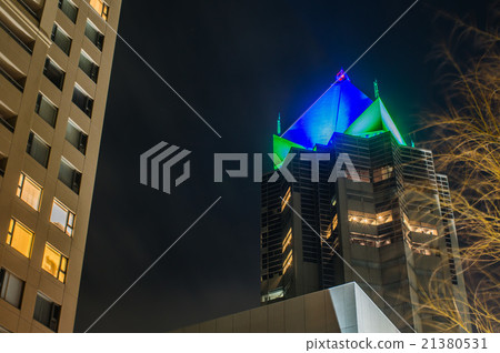 NEXT 21 of winter light up NEXT 21 of winter light up 21380531