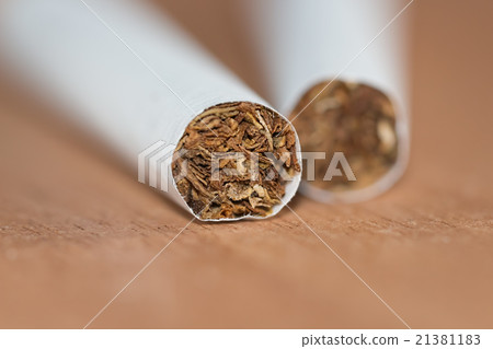 Tobacco in the cigarette selective focus image 21381183