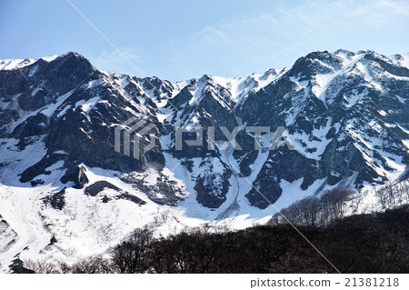 Spring Daisen North Wall 21381218
