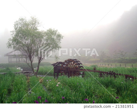 長澤寺的虹膜（兵庫縣三田市細雨） 21381951