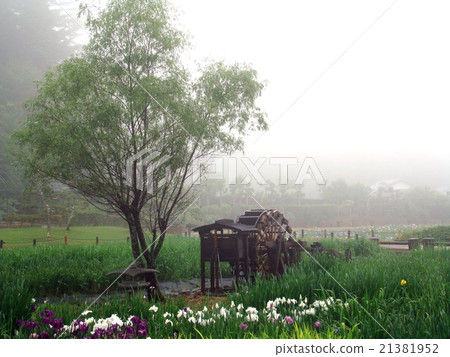 長澤寺的虹膜（兵庫縣三田市細雨） 21381952