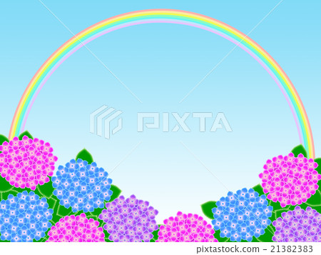 繡球 繡球 21382383