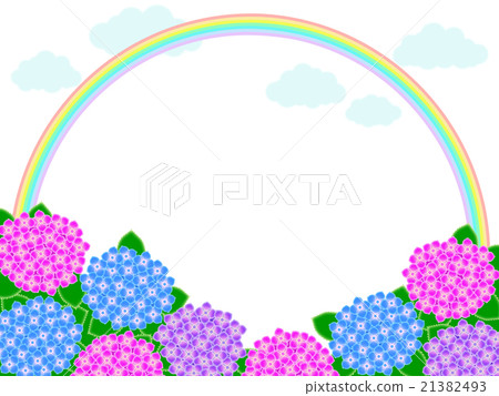 hydrangea hydrangea 21382493