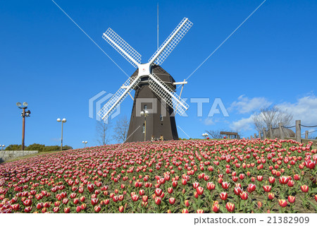 Hanafu Memorial Park 21382909