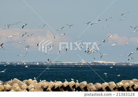 View from the Namerikawa Shinkiro 21383128