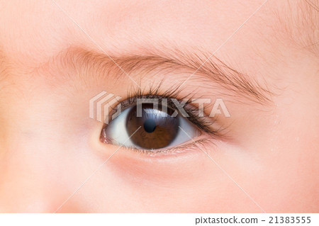 純寶寶的眼睛寶寶的眼睛 純寶寶的眼睛寶寶的眼睛 21383555