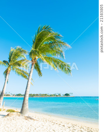 Hawaii Ala Moana · Beach · Park 21383805