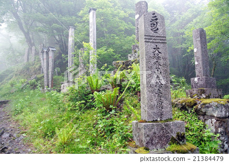 Omine mountain road 21384479