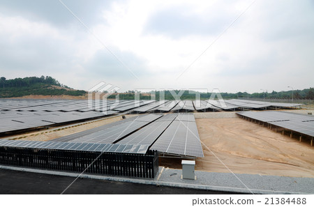 Solar panel in the solar farm 21384488