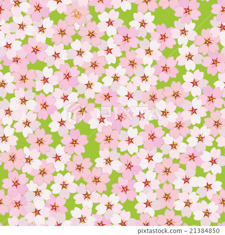 Cherry blossom. Sakura flowers. Seamless pattern Cherry blossom. Sakura flowers. Seamless pattern 21384850