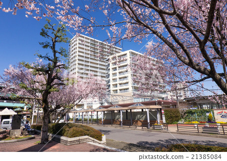 Iwakura Ekimae Nishiguchi Sakura和Mitsui City Iwakura Station Tower 21385084