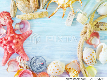 sea shells and compass 21385698