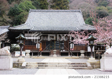 Horinji temple 21386215
