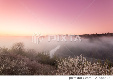 Tsukigase Umebayashi的黎明 21386422