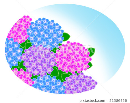 hydrangea hydrangea 21386536