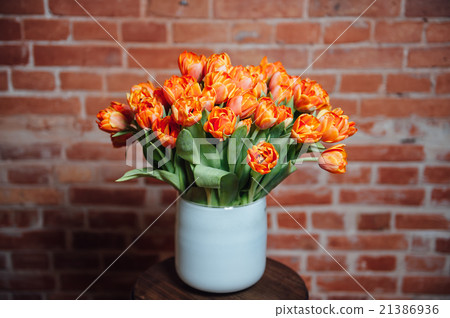 bouquet of orange tulips near brick wall 21386936