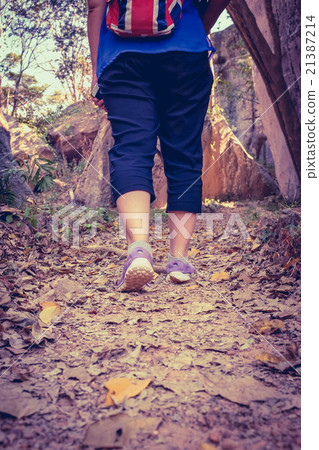 Back view of woman walking exercise in forest. Back view of woman walking exercise in forest. 21387214