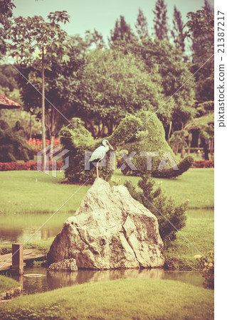 Animals in Wildlife - White Egrets. Animals in Wildlife - White Egrets. 21387217