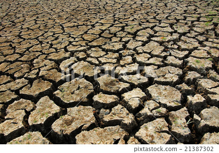 Water in the Lake of the dry soil Water in the Lake of the dry soil 21387302
