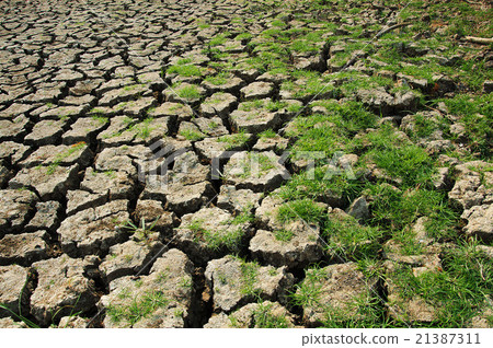 Water in the Lake of the dry soil Water in the Lake of the dry soil 21387311
