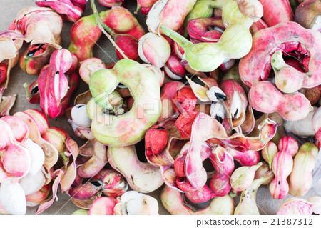 Manila tamarind Manila tamarind 21387312