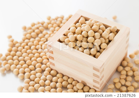 大豆白背 21387626