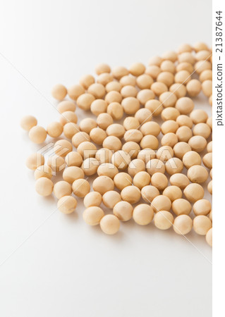 大豆白背 大豆白背 21387644