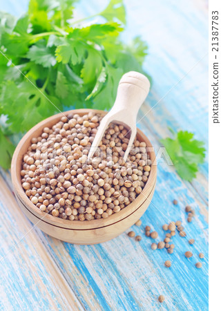 coriander 21387783