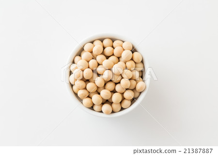 大豆白背 大豆白背 21387887