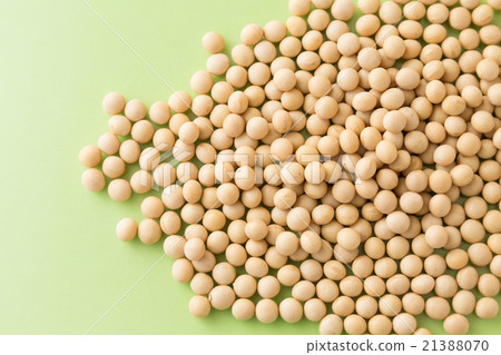 Soybean green back Soybean green back 21388070