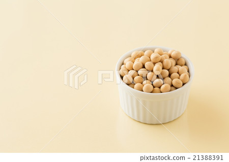 大豆黃背 大豆黃背 21388391