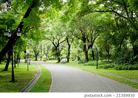 Stone Pathway in the Green Park Stone Pathway in the Green Park 21389930