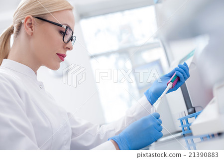 Skillful female laboratory assistant working with Skillful female laboratory assistant working with 21390883