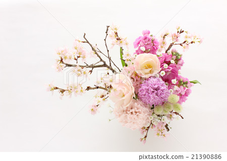 櫻花，風信子，鬱金香和股票的安排（全面） 21390886