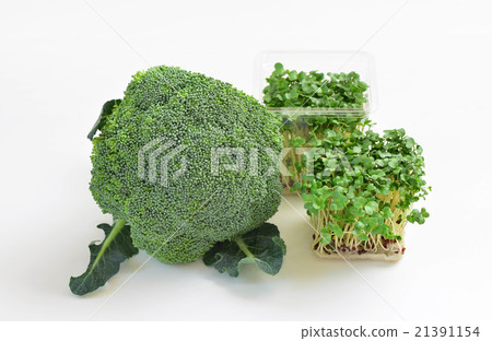 西蘭花芽和西蘭花 西蘭花芽和西蘭花 21391154