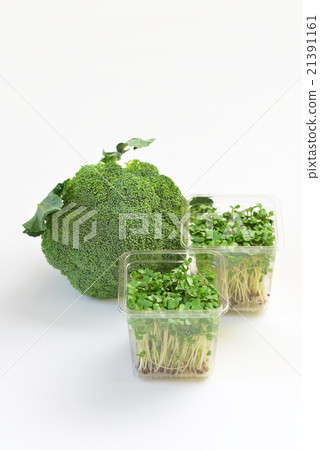 西蘭花芽和西蘭花 21391161