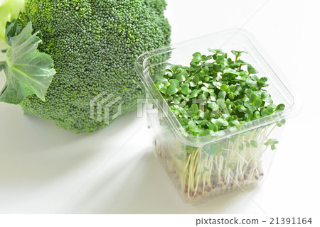 西蘭花芽和西蘭花 21391164