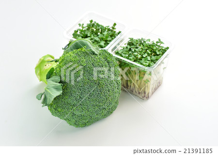 Broccoli and Broccoli Sprout 21391185