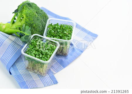 Broccoli Sprouts and Broccoli 21391265