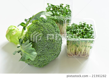 Broccoli and Broccoli Sprout Broccoli and Broccoli Sprout 21391282