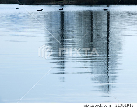 Sone marsh water bird and trees silhouette Sone marsh water bird and trees silhouette 21391913