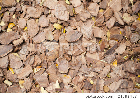Wood chippings and leaves background 21392418