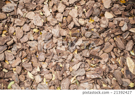 Wood chippings and dry leaves background. Wood chippings and dry leaves background. 21392427