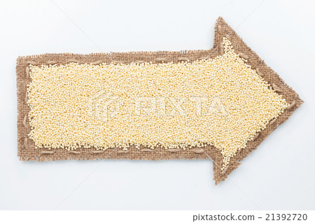 Pointer with millet  grains 21392720