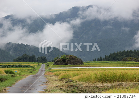 景觀與化石石火山碎屑流痕（Tsukahara No Machi，大野市，福井縣） 21392734