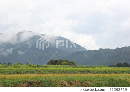 Landscape with fossil stone Pyroclastic flow trace (Tsukahara No Machi, Ohno City, Fukui Prefecture) 21392739
